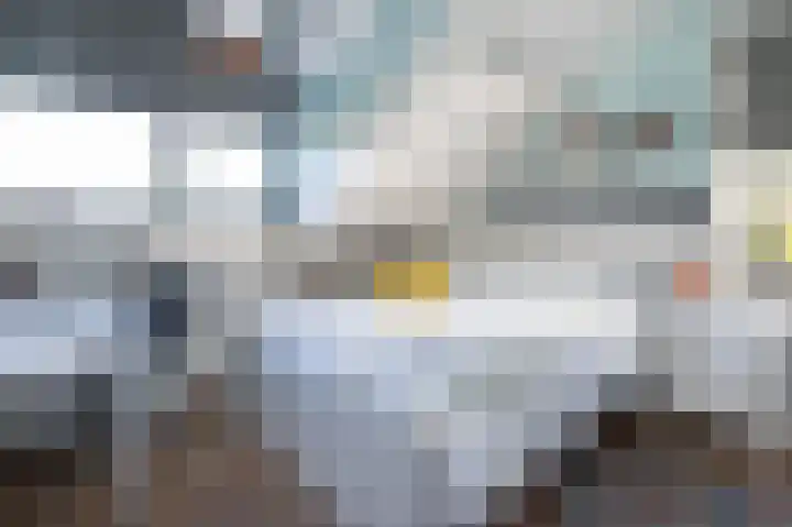 Emmalaan 10 Dirksland thumbnail 33