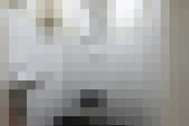Emmalaan 10 Dirksland thumbnail 37