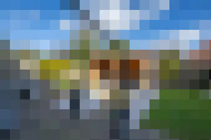 Emmalaan 10 Dirksland thumbnail 39