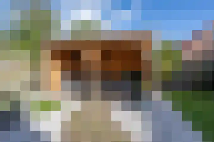 Emmalaan 10 Dirksland thumbnail 40