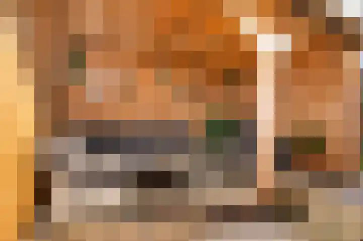 Emmalaan 10 Dirksland thumbnail 41
