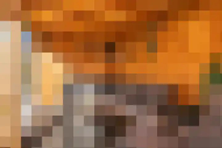 Emmalaan 10 Dirksland thumbnail 42