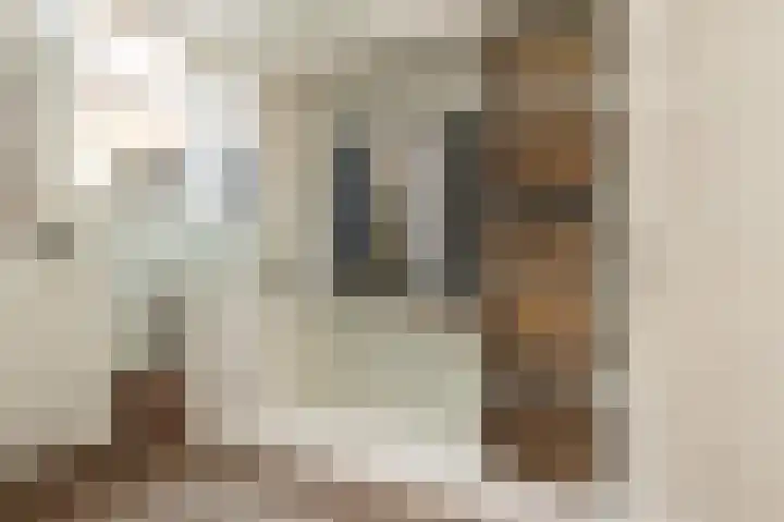 Emmalaan 10 Dirksland thumbnail 7