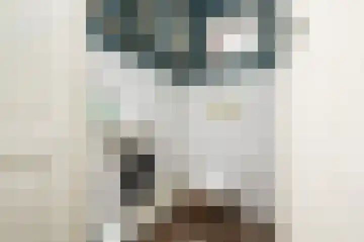 Emmalaan 10 Dirksland thumbnail 8