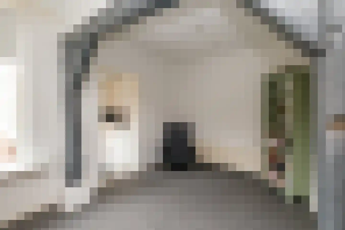 Emmalaan 10 Genemuiden thumbnail 11