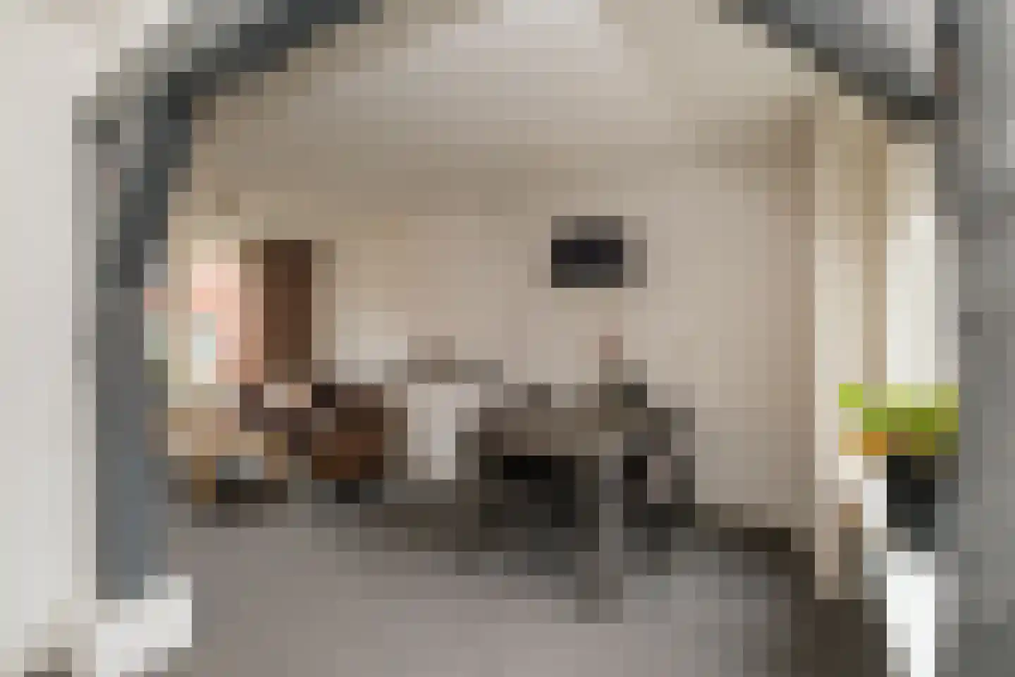 Emmalaan 10 Genemuiden thumbnail 13