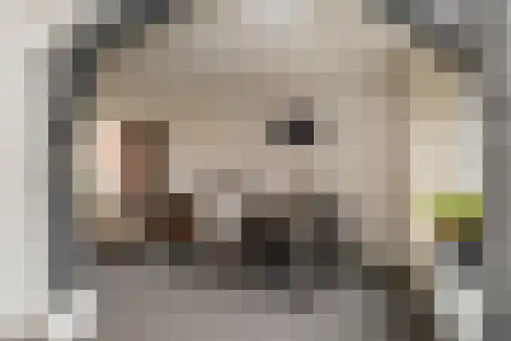 Emmalaan 10 Genemuiden thumbnail 13
