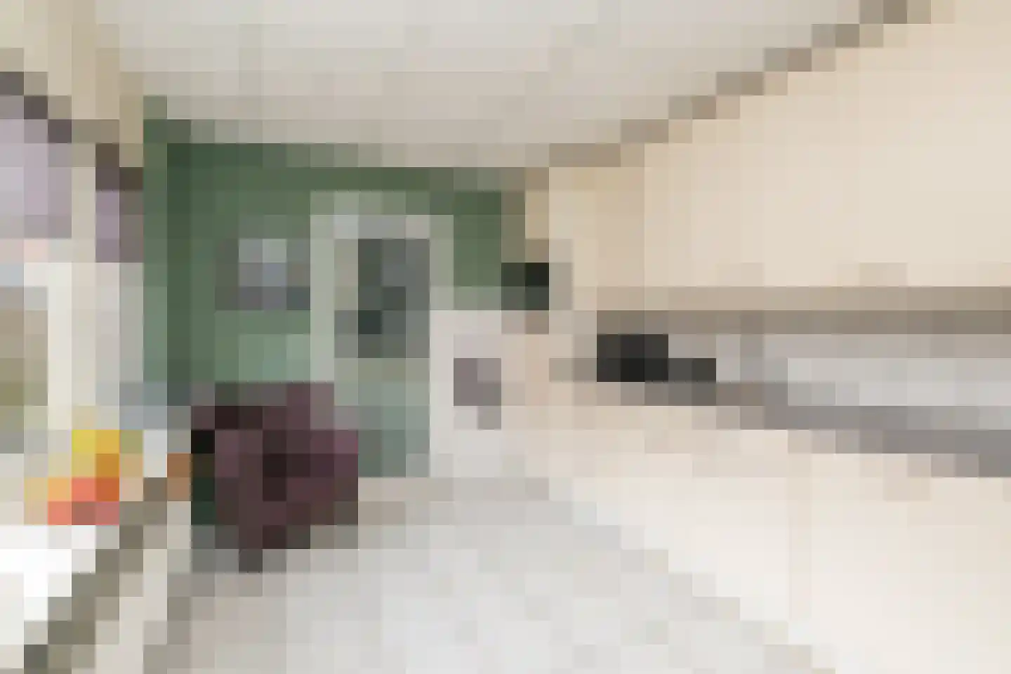 Emmalaan 10 Genemuiden thumbnail 14