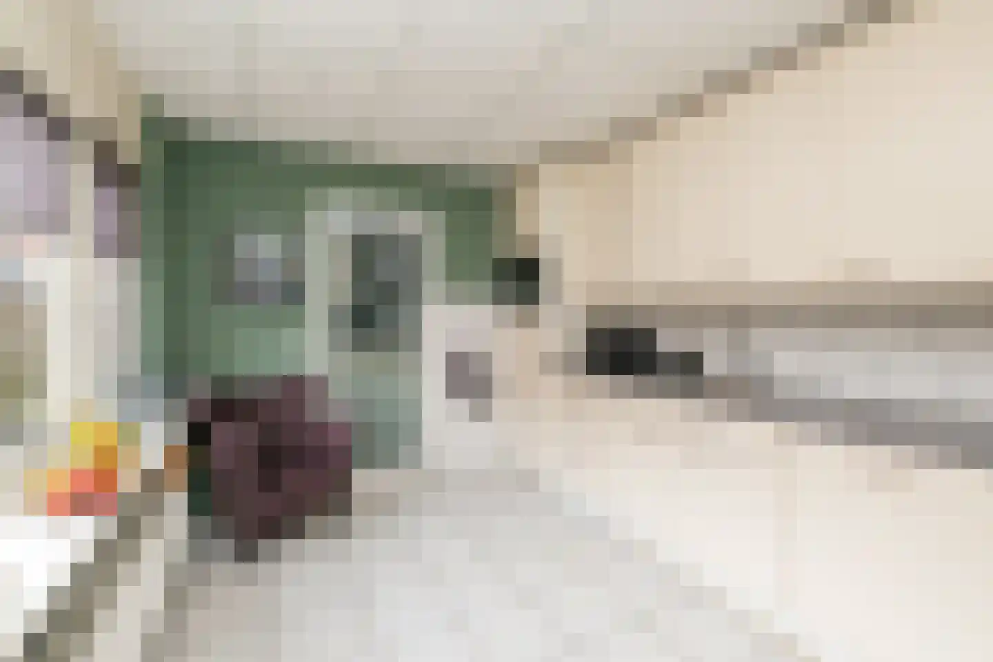 Emmalaan 10 Genemuiden thumbnail 14