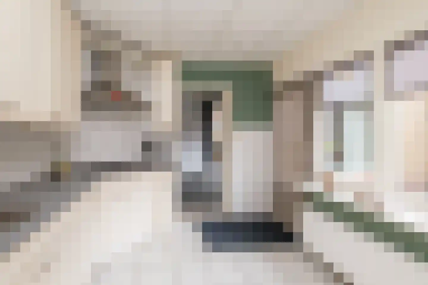 Emmalaan 10 Genemuiden thumbnail 15