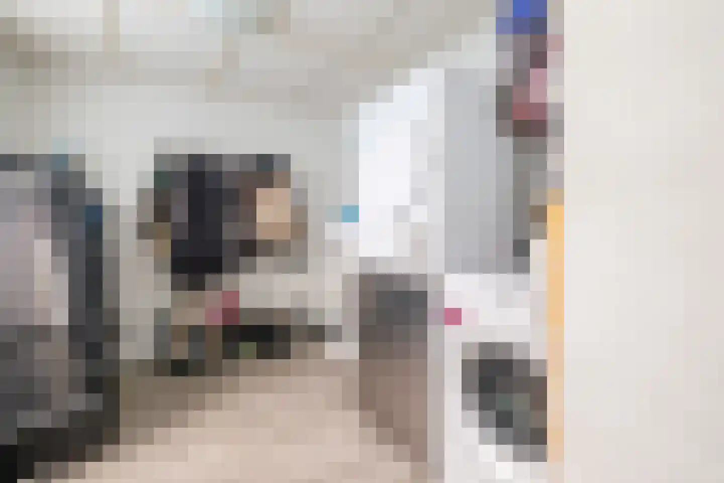Emmalaan 10 Genemuiden thumbnail 16
