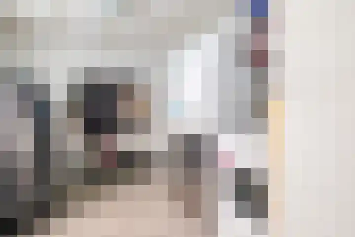 Emmalaan 10 Genemuiden thumbnail 16