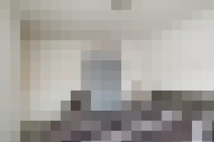 Emmalaan 10 Genemuiden thumbnail 18