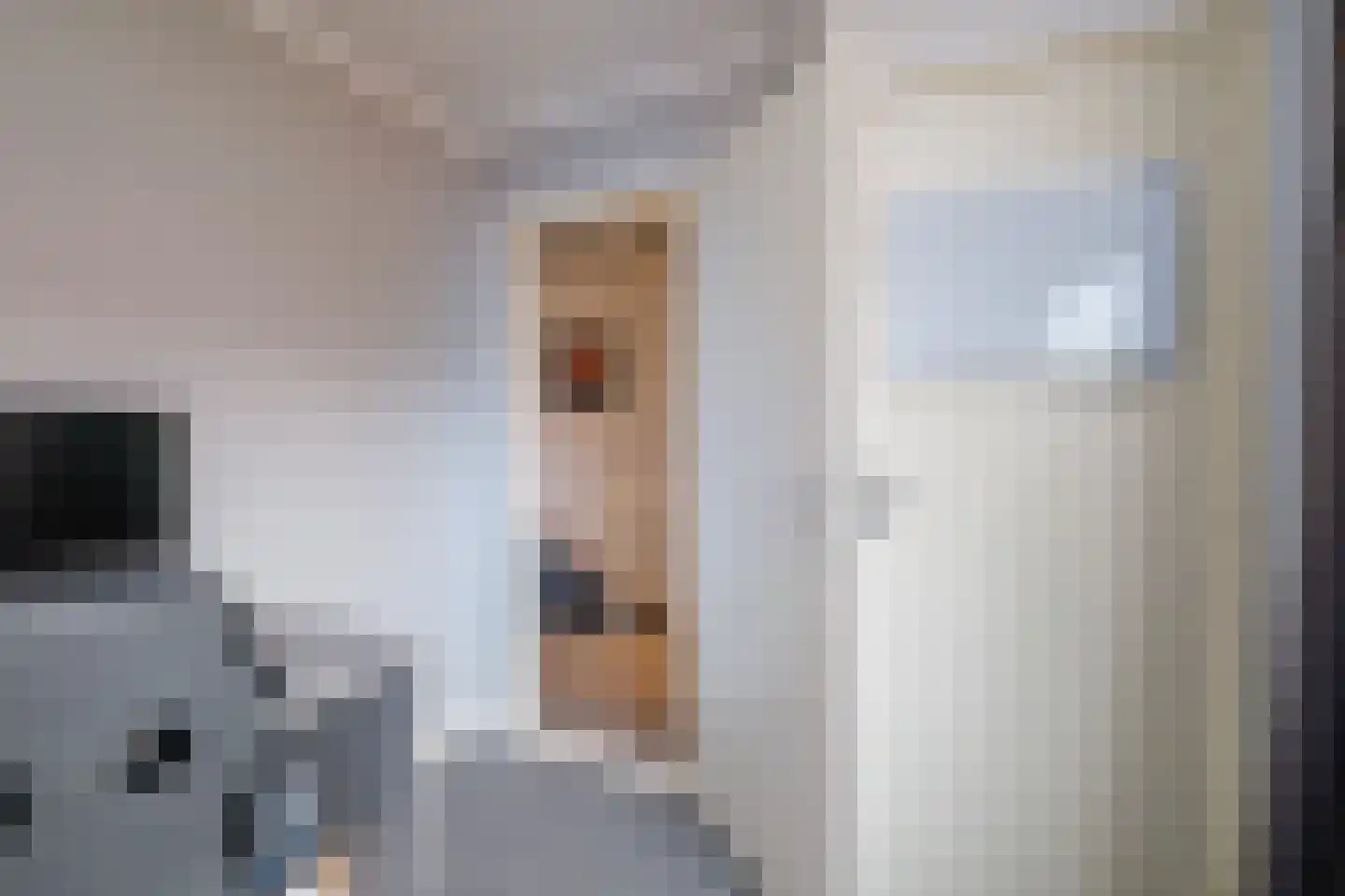 Emmalaan 10 Genemuiden thumbnail 20