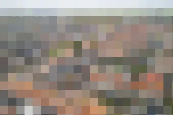 Emmalaan 10 Genemuiden thumbnail 32