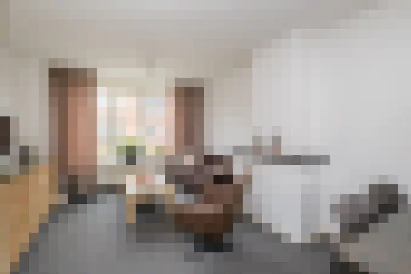 Emmalaan 10 Genemuiden thumbnail 8