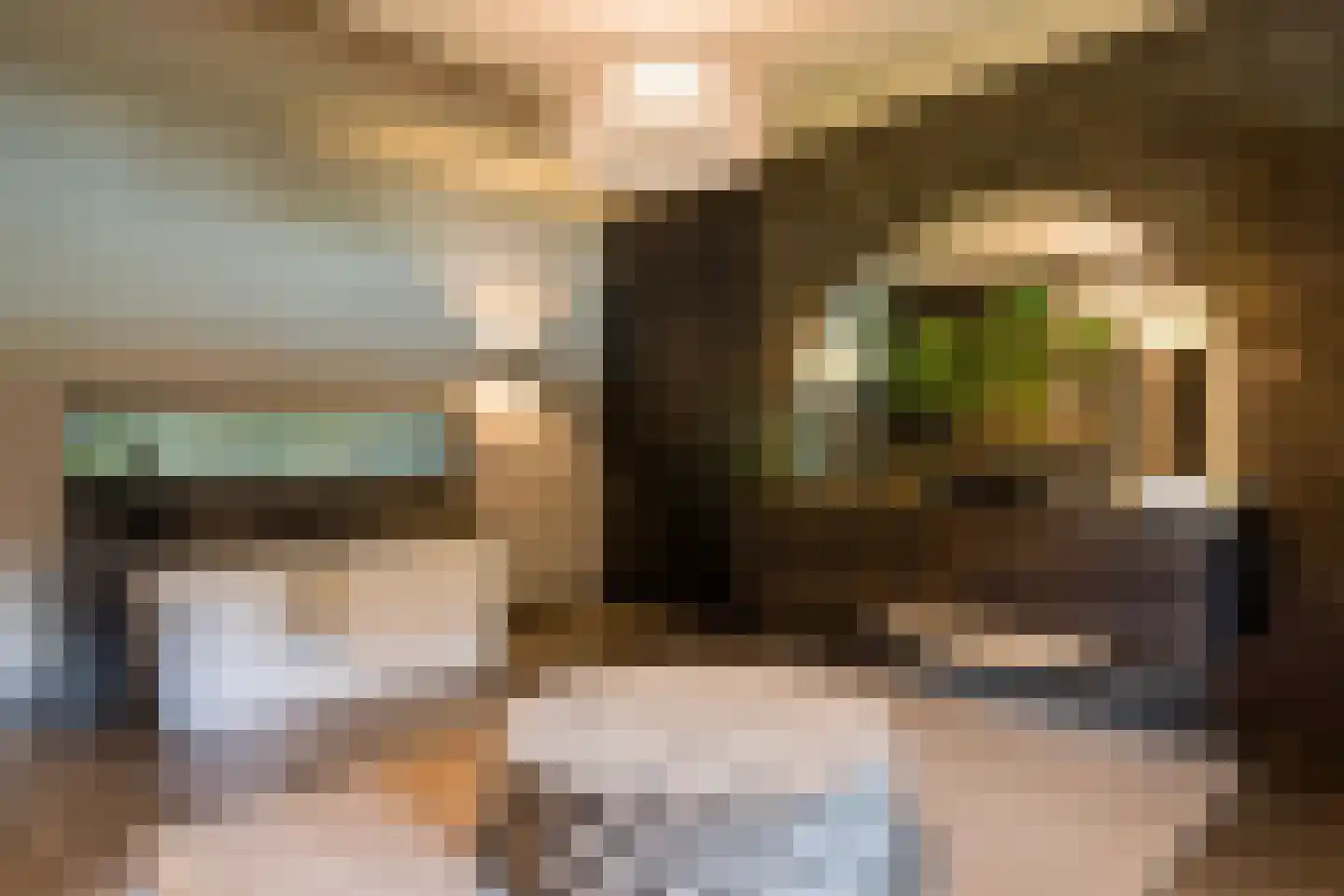 Emmalaan 10 Oisterwijk thumbnail 13
