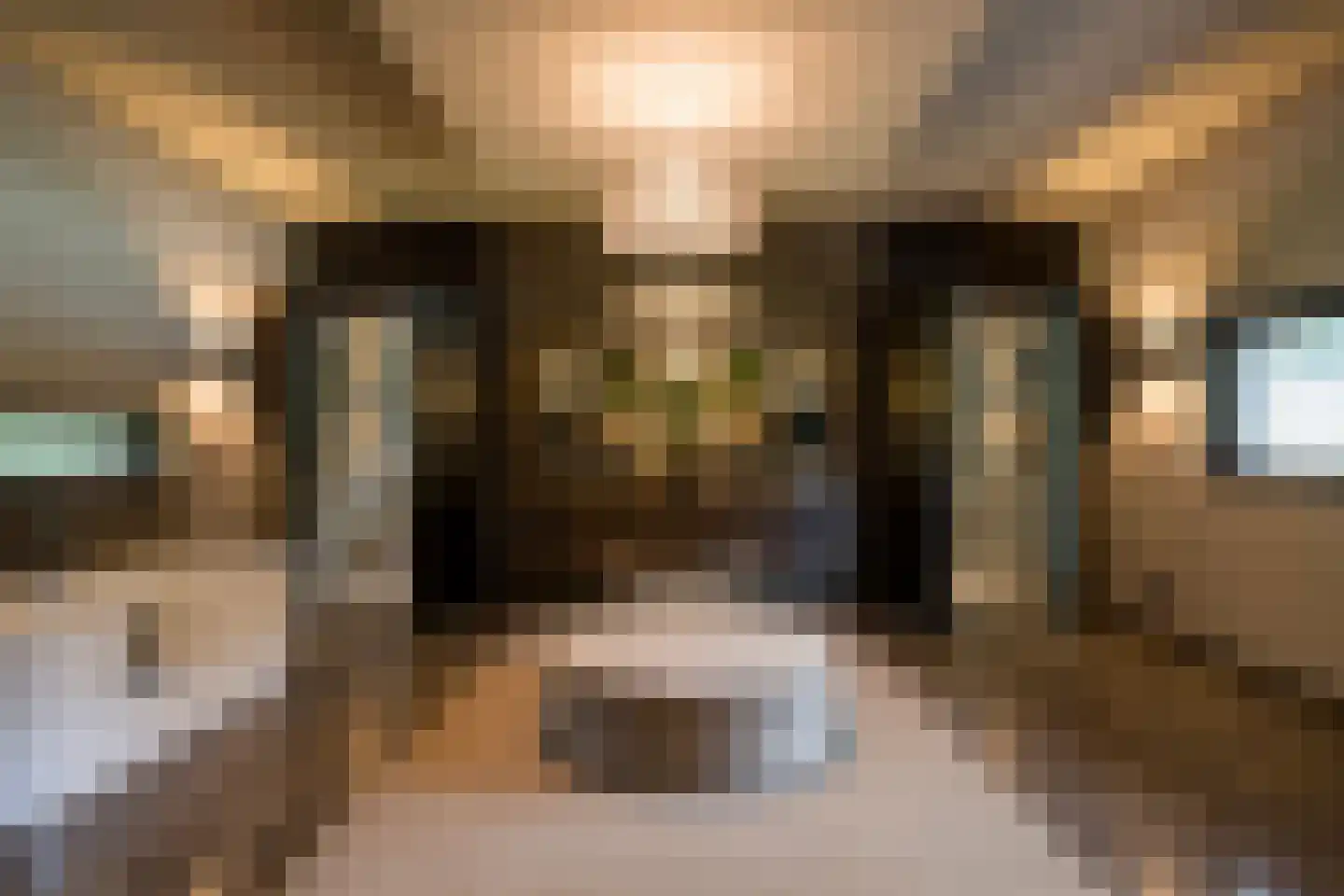 Emmalaan 10 Oisterwijk thumbnail 14