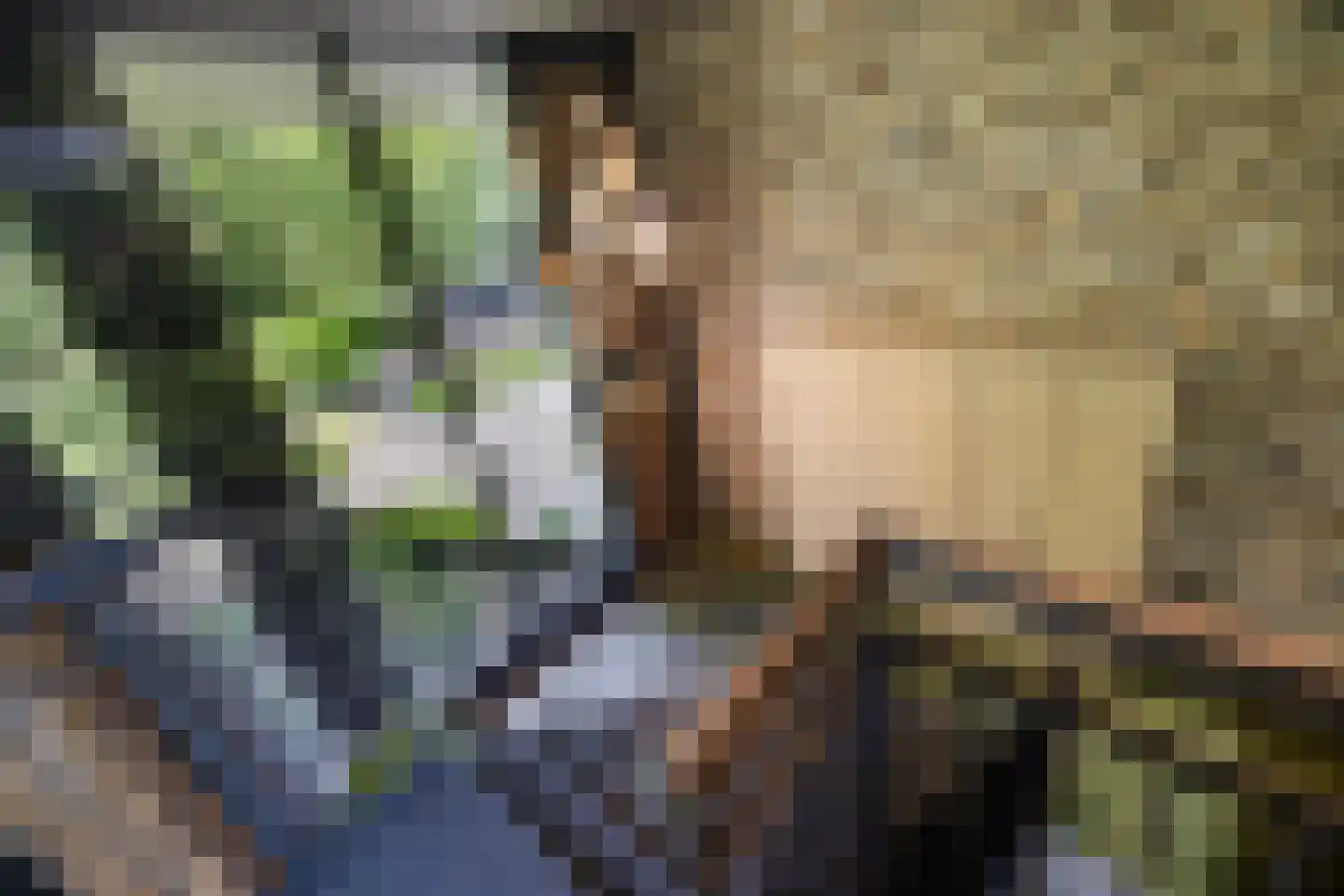 Emmalaan 10 Oisterwijk thumbnail 16
