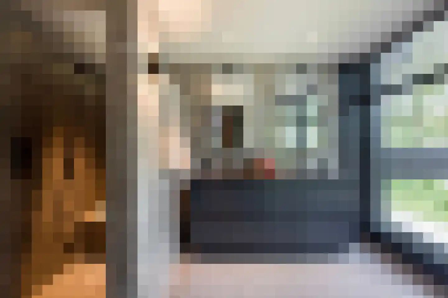 Emmalaan 10 Oisterwijk thumbnail 19