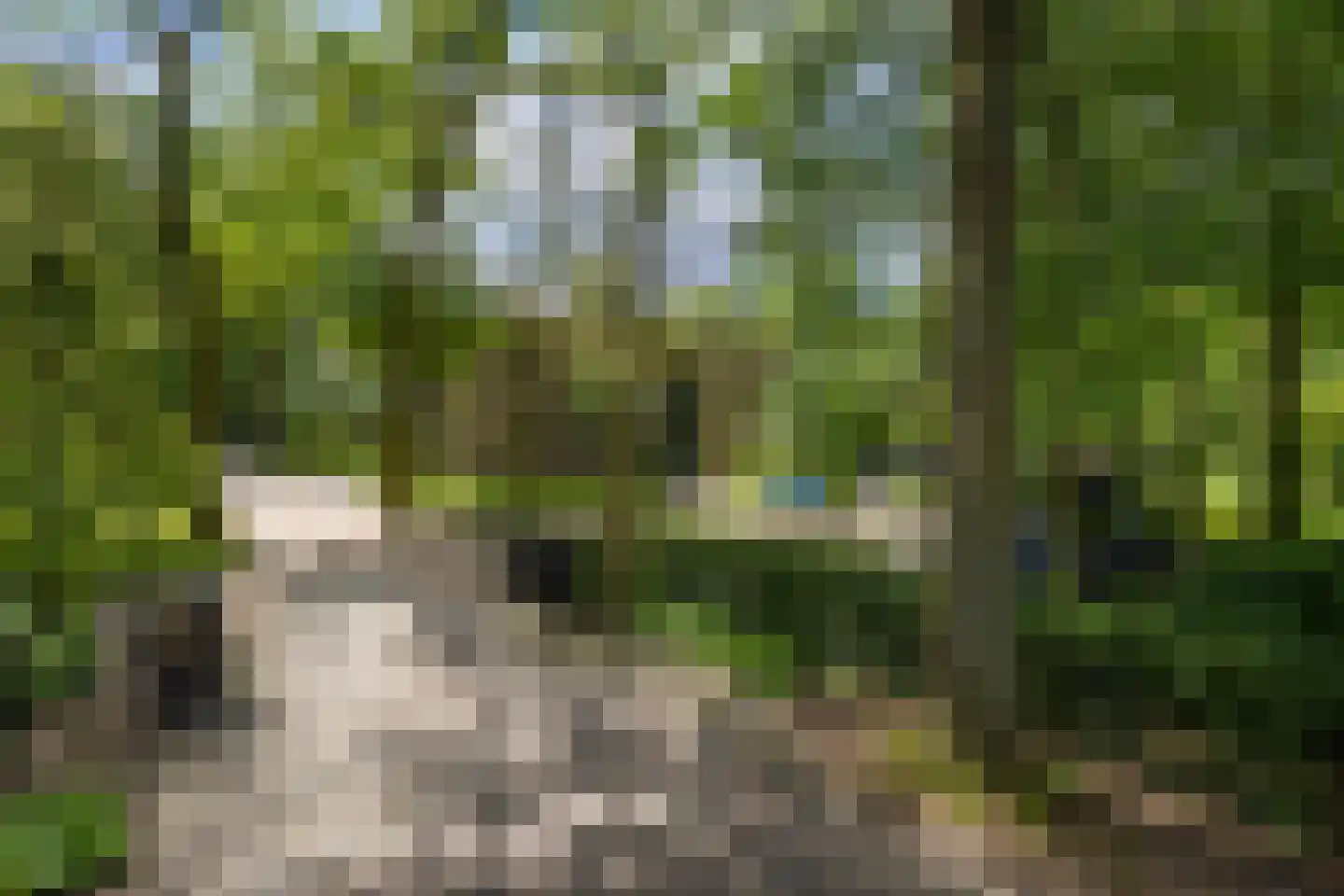 Emmalaan 10 Oisterwijk thumbnail 25