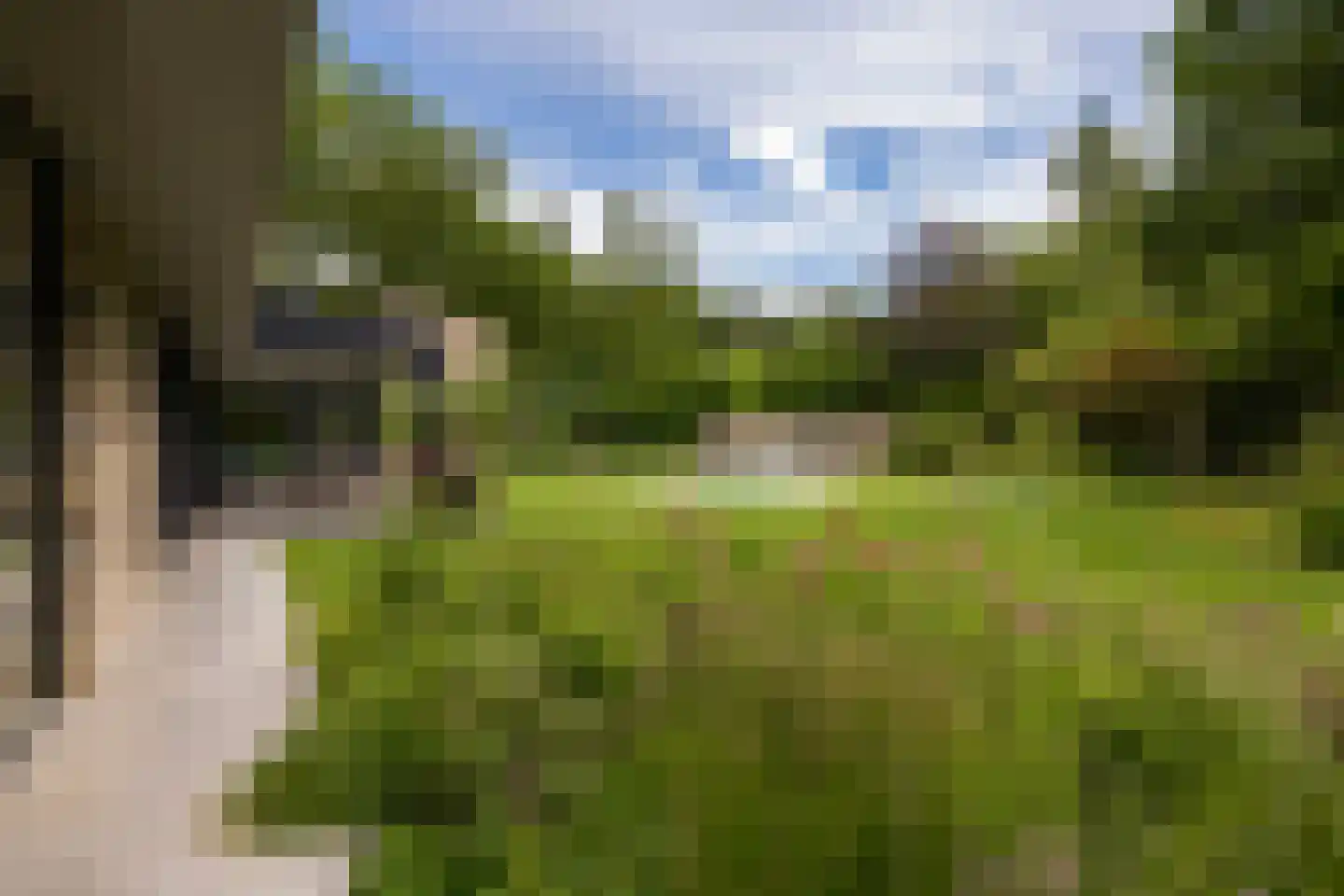 Emmalaan 10 Oisterwijk thumbnail 4