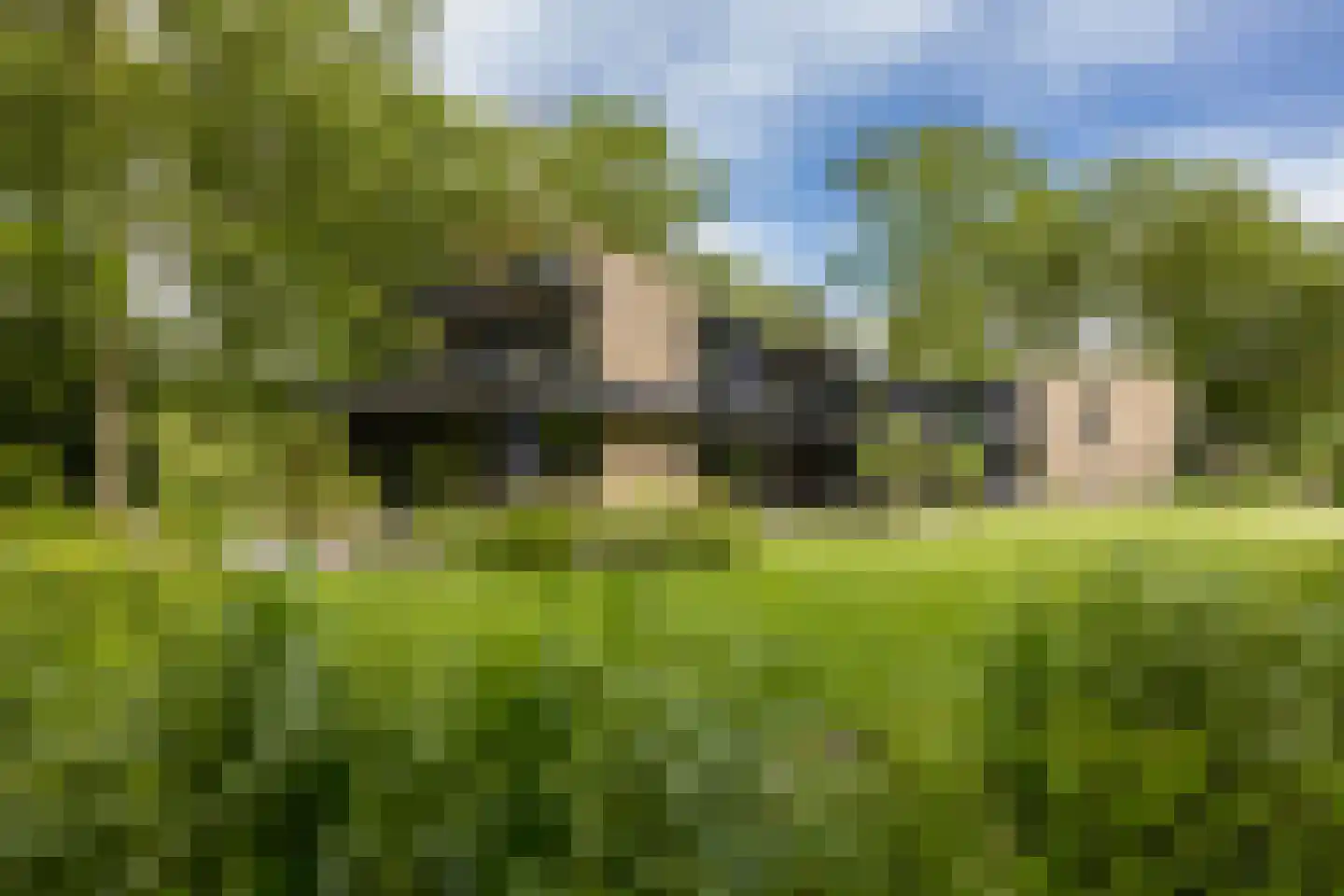 Emmalaan 10 Oisterwijk thumbnail 5