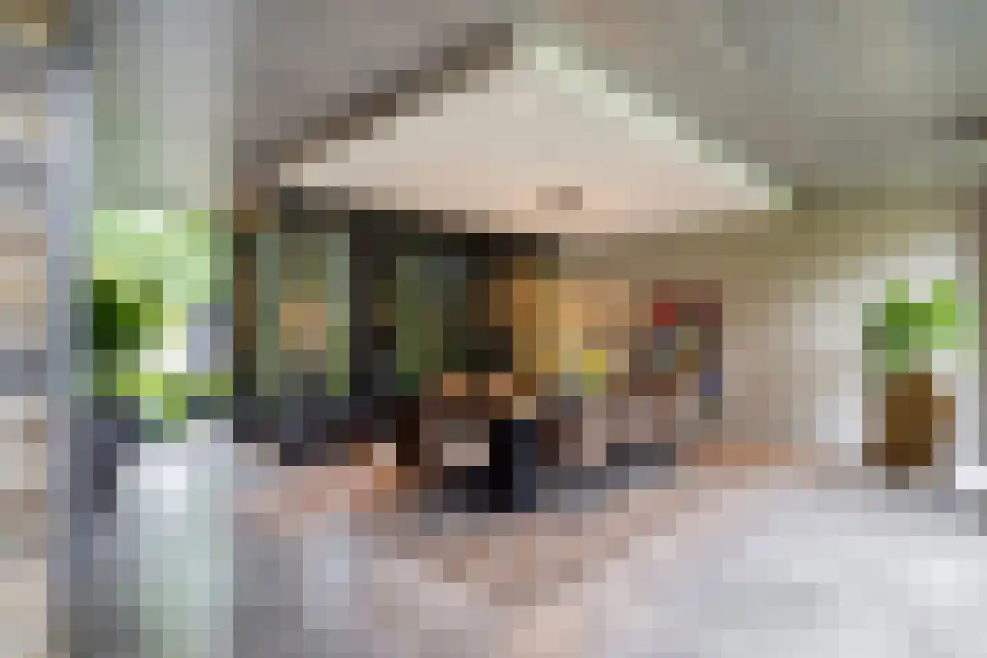 Emmalaan 10 Oisterwijk thumbnail 8