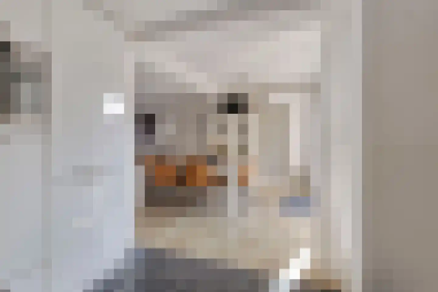 Emmalaan 10 Vlijmen thumbnail 11