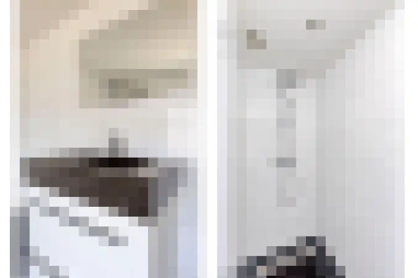 Emmalaan 10 Vlijmen thumbnail 19