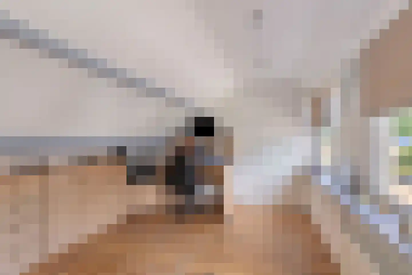 Emmalaan 10 Vlijmen thumbnail 27