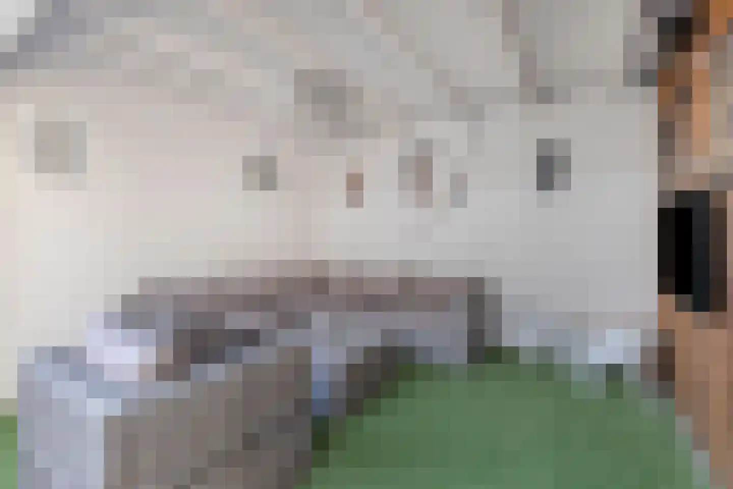 Emmalaan 10 Vlijmen thumbnail 28
