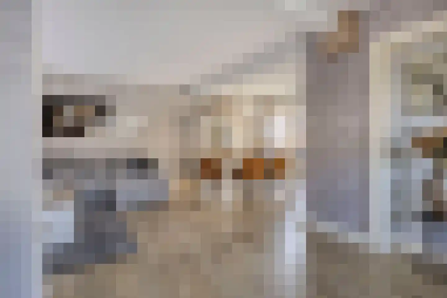 Emmalaan 10 Vlijmen thumbnail 4