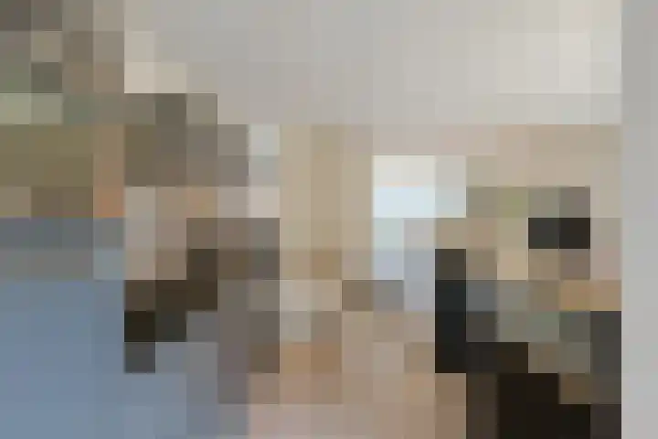 Emmalaan 106 Alphen aan den Rijn thumbnail 19