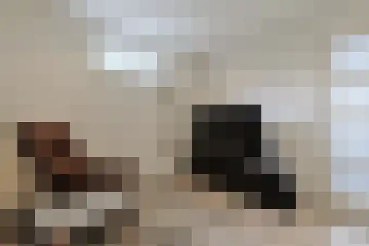 Emmalaan 106 Alphen aan den Rijn thumbnail 27