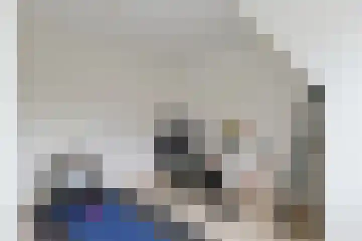 Emmalaan 106 Alphen aan den Rijn thumbnail 40