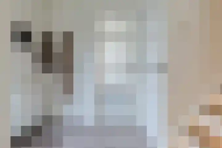 Emmalaan 106 Alphen aan den Rijn thumbnail 8