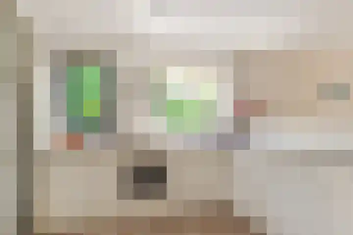 Emmalaan 11 Bergen (NH) thumbnail 17
