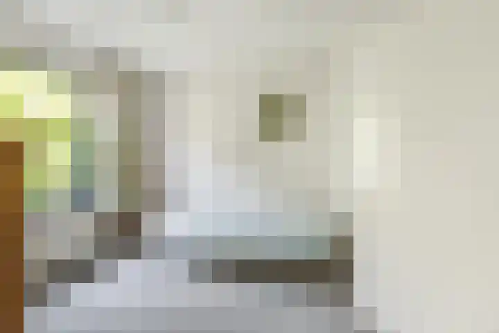 Emmalaan 11 Bergen (NH) thumbnail 22