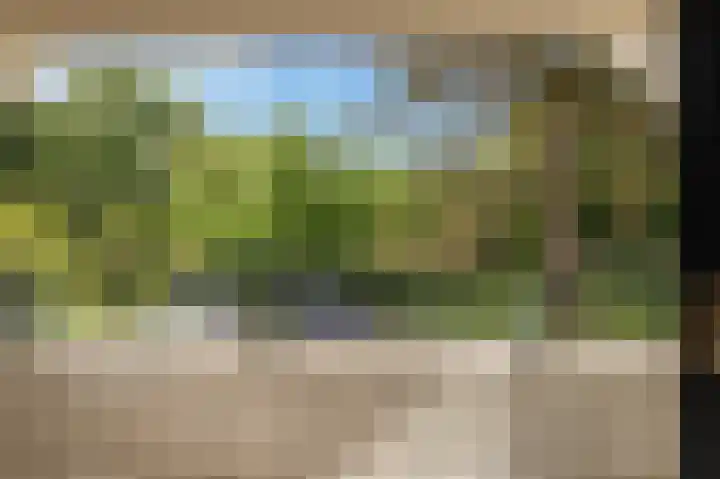 Emmalaan 11 Bergen (NH) thumbnail 33