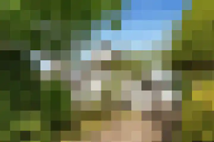 Emmalaan 11 Bergen (NH) thumbnail 42
