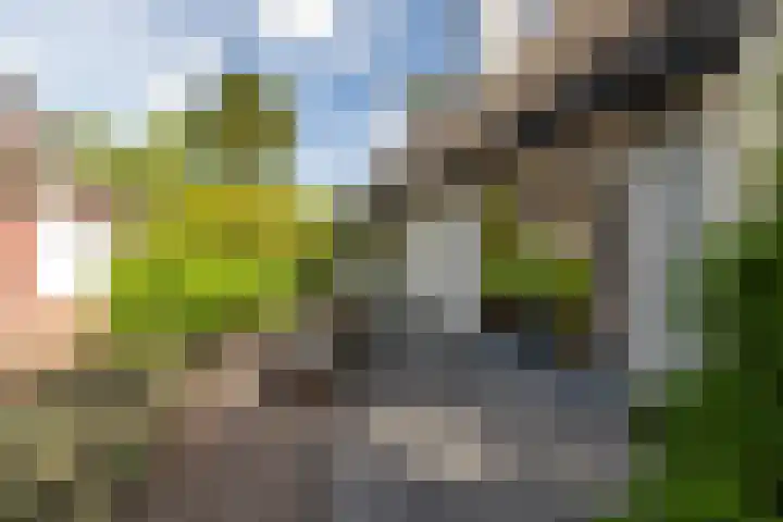 Emmalaan 11 Bergen (NH) thumbnail 46