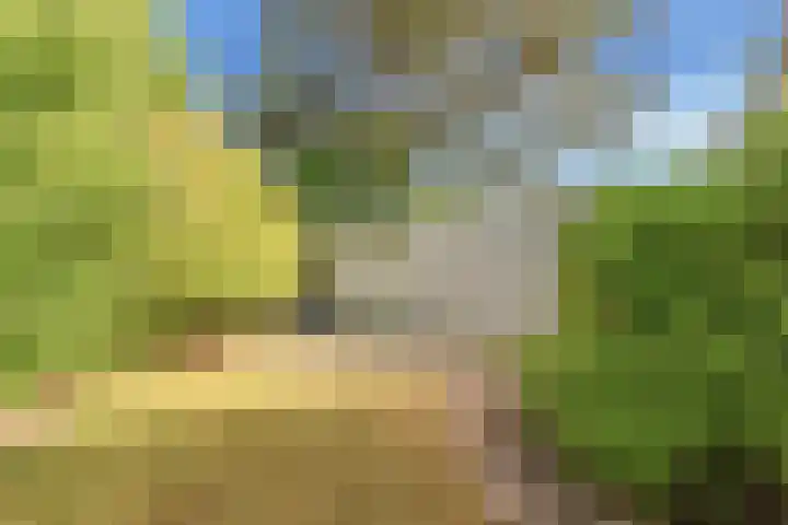 Emmalaan 11 Bergen (NH) thumbnail 51