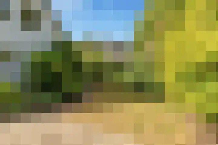 Emmalaan 11 Bergen (NH) thumbnail 52