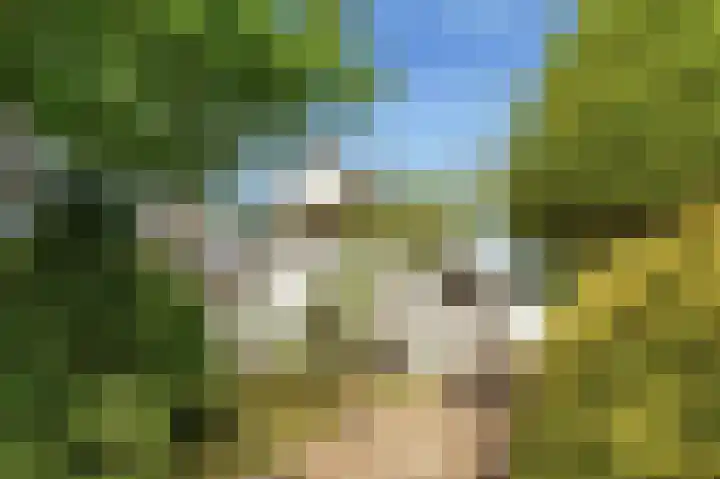 Emmalaan 11 Bergen (NH) thumbnail 66