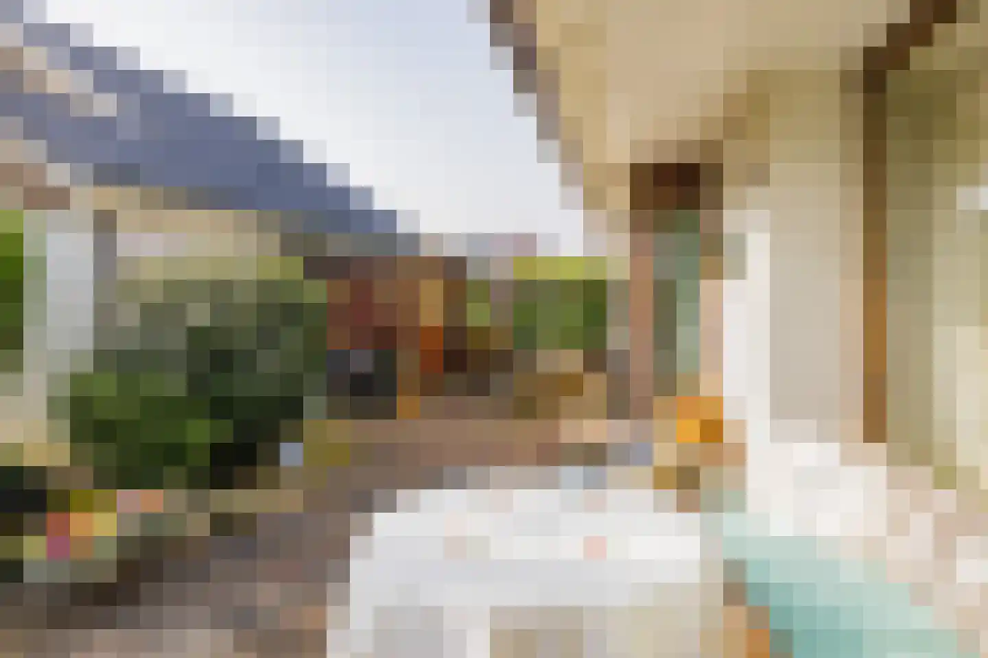 Emmalaan 11 Kaag thumbnail 26