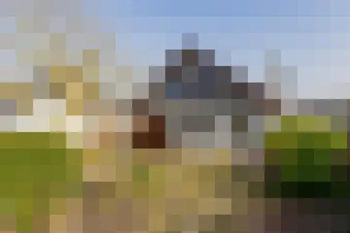 Emmalaan 11 Kaag thumbnail 5