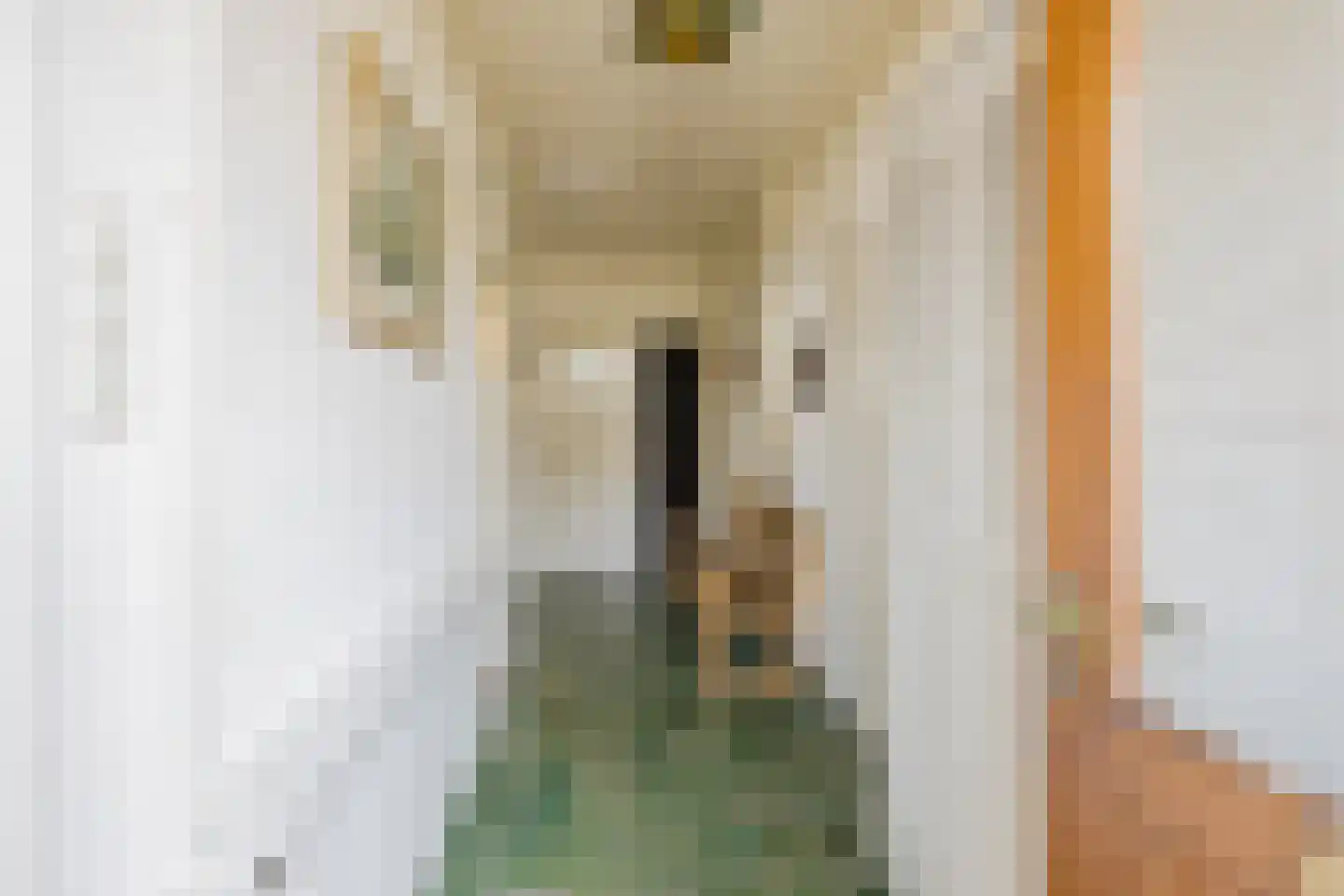 Emmalaan 11 Kaag thumbnail 6