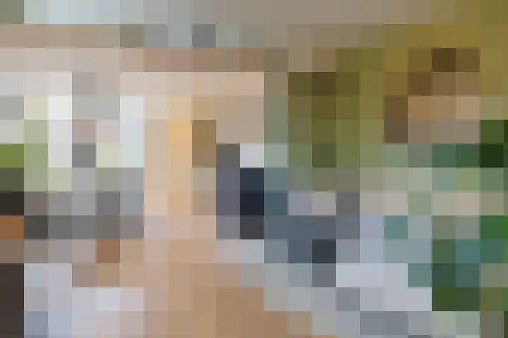 Emmalaan 126 Alphen aan den Rijn thumbnail 11