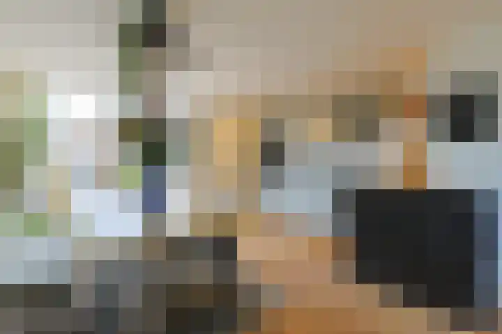 Emmalaan 126 Alphen aan den Rijn thumbnail 13